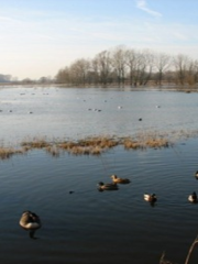 wandeling bourgoyen.png