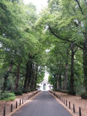 Rozendaal.jpg