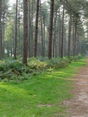 wandeling 19102025.png