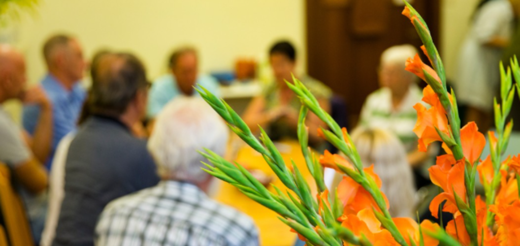 Steungroepen familiale bewindvoering